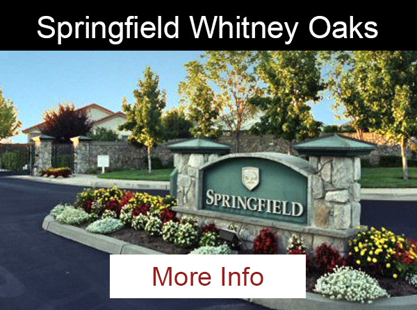 Springfield Whitney Oaks Button
